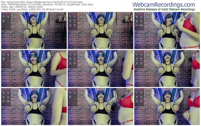 2024/09/13/stripchat-bdsmsumision-14-12-33