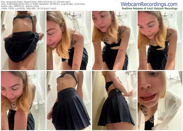 2024/09/13/stripchat-miss_elfie-15-54-46