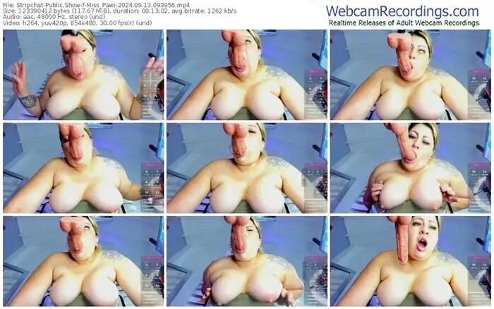 2024/09/13/stripchat-miss_pawi-09-39-56