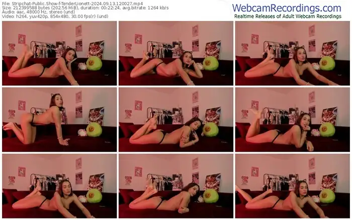 2024/09/13/stripchat-tenderlionett-12-00-27