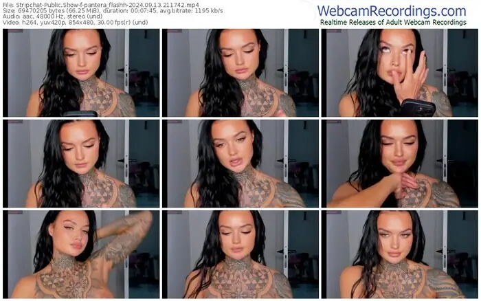 2024/09/13/stripchat-pantera_flashh-21-17-42