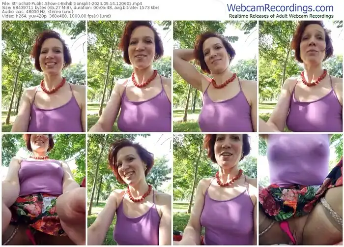 2024/09/14/stripchat-exhibitionsplit-12-06-01