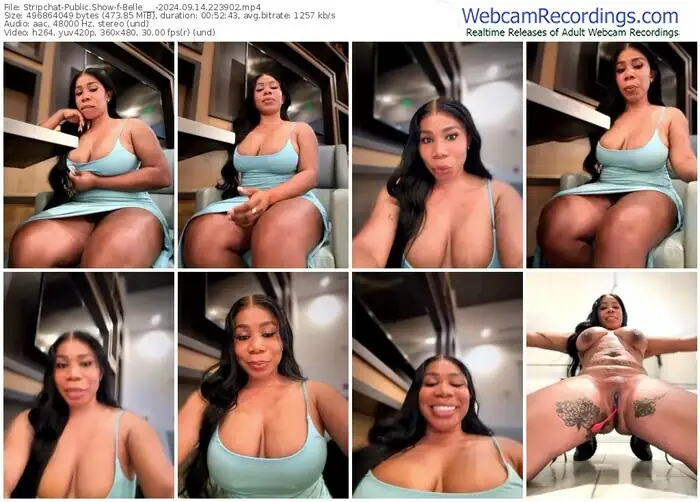 2024/09/14/stripchat-belle___-22-39-02