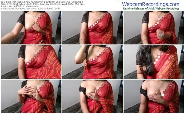 2024/09/14/stripchat-enchanting-butterfly-07-36-06