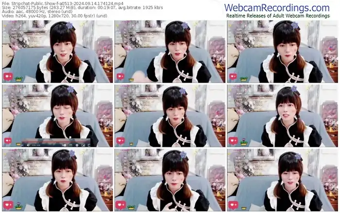 2024/09/14/stripchat-a0513-17-41-24