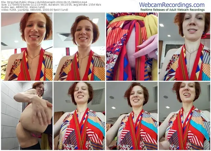 2024/09/15/stripchat-exhibitionsplit-08-48-14