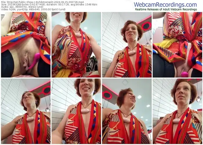 2024/09/15/stripchat-exhibitionsplit-09-37-26