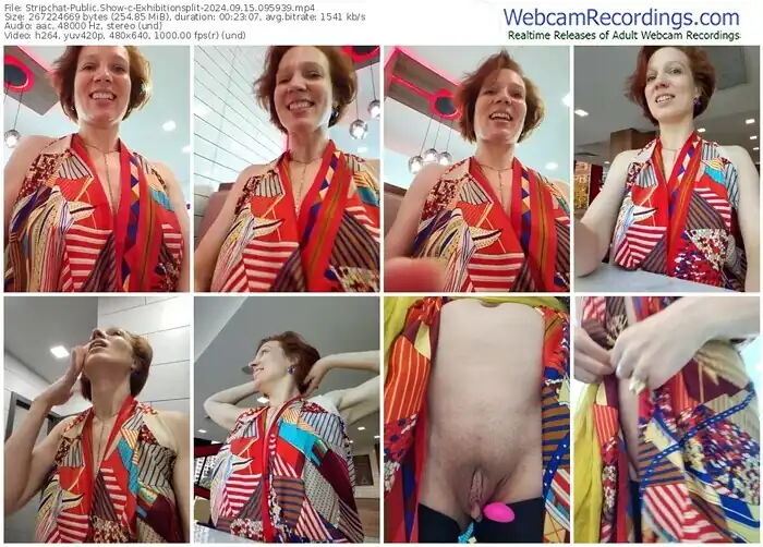 2024/09/15/stripchat-exhibitionsplit-09-59-39