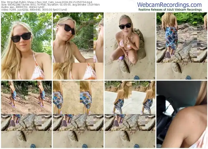 2024/09/15/stripchat-two_hot_cats_love-05-07-04