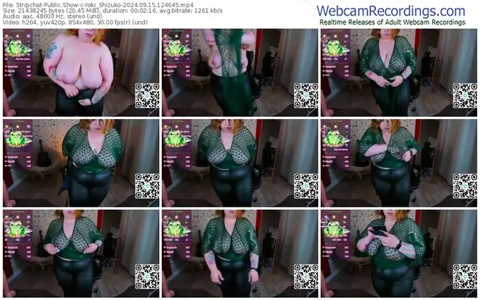 2024/09/15/stripchat-yoki_shizuko-12-46-45