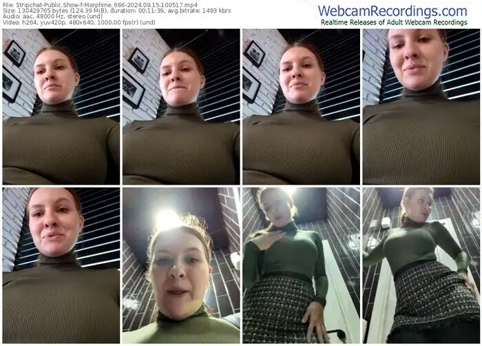 2024/09/15/stripchat-morphine_666-10-05-17