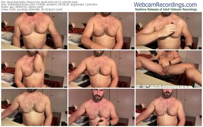 2024/09/15/stripchat-mr_beef-22-52-46
