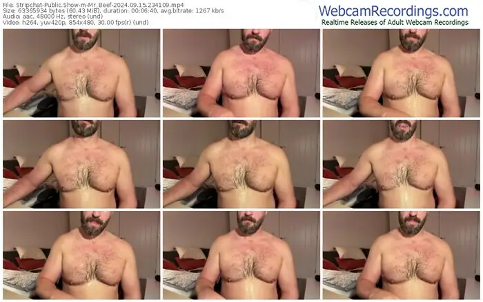 2024/09/15/stripchat-mr_beef-23-41-09