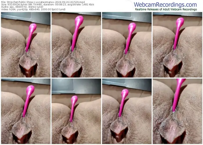 2024/09/16/stripchat-xxcatwomanxx-16-15-29