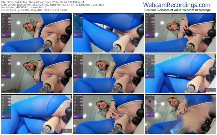 2024/09/16/stripchat-evadream-09-34-58