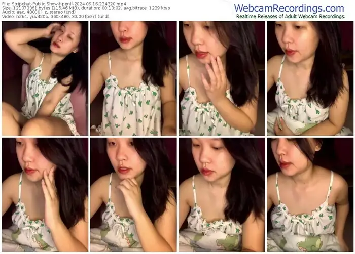 2024/09/16/stripchat-pqnll-23-43-20