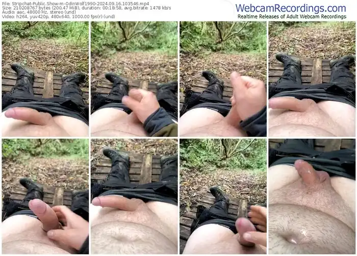 2024/09/16/stripchat-odinwolf1990-10-35-46