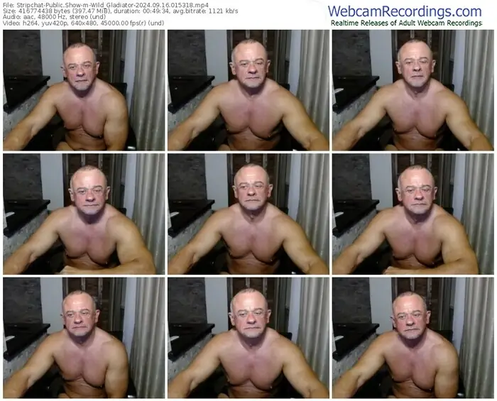 2024/09/16/stripchat-wild_gladiator-01-53-18