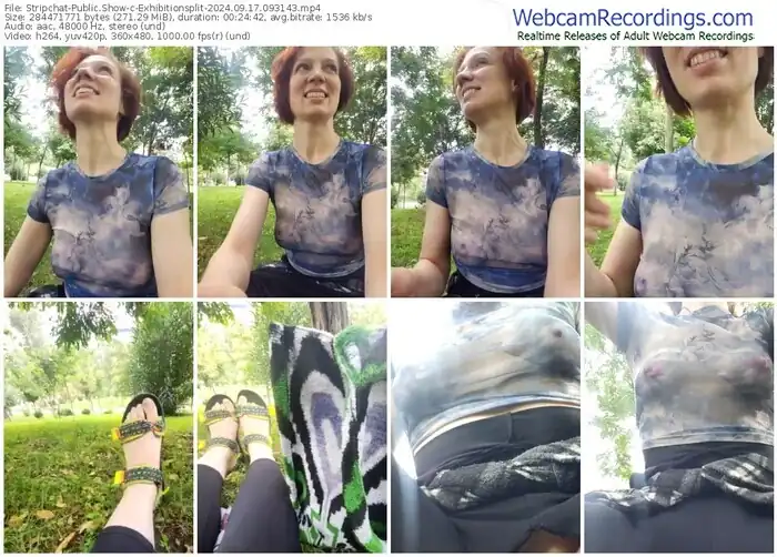 2024/09/17/stripchat-exhibitionsplit-09-31-43