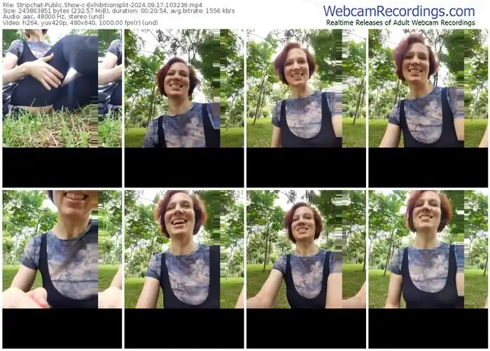 2024/09/17/stripchat-exhibitionsplit-10-32-36