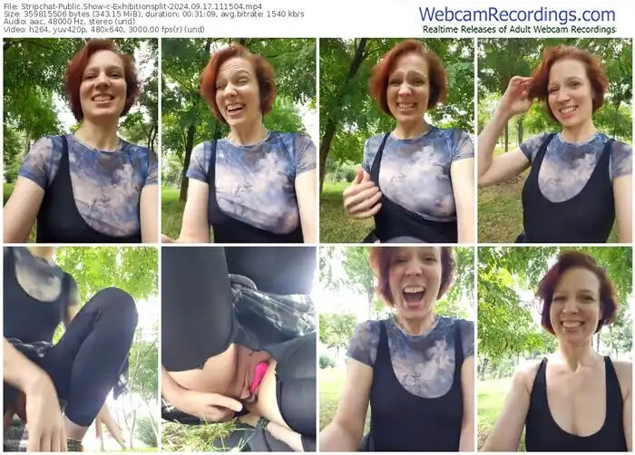 2024/09/17/stripchat-exhibitionsplit-11-15-04