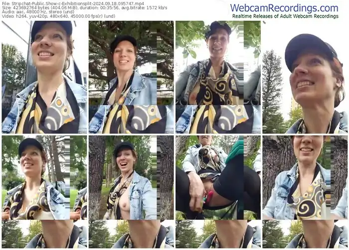 2024/09/18/stripchat-exhibitionsplit-09-57-47