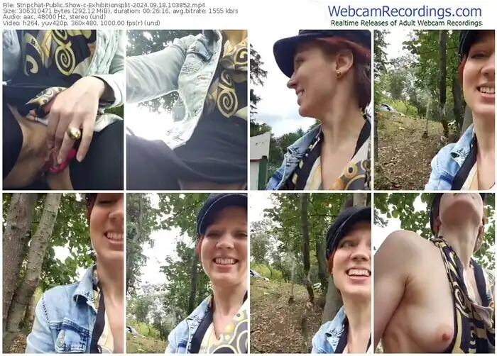 2024/09/18/stripchat-exhibitionsplit-10-38-52