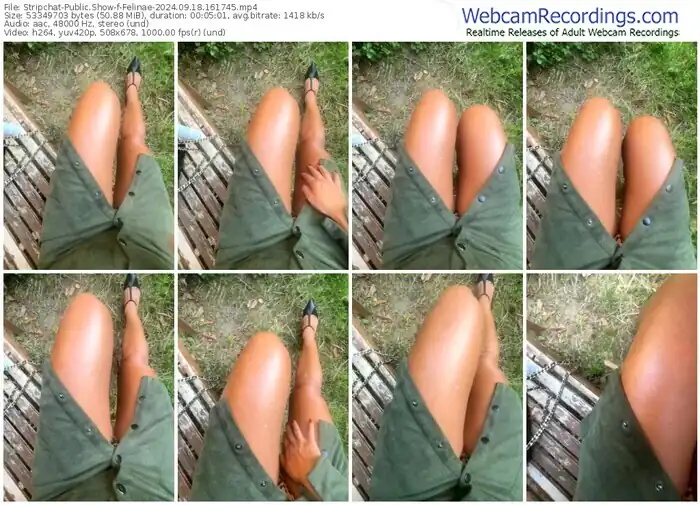 2024/09/18/stripchat-felinae-16-17-45