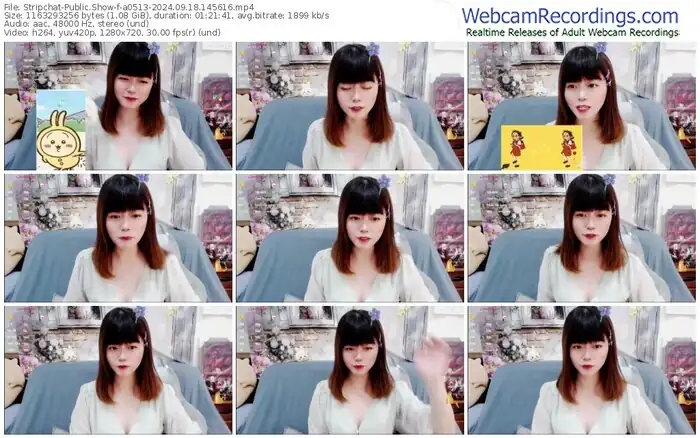 2024/09/18/stripchat-a0513-14-56-16