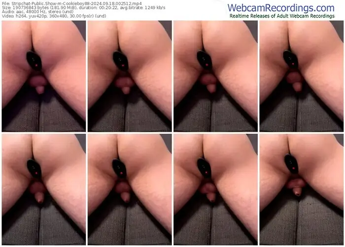 2024/09/18/stripchat-cookieboy88-00-25-12