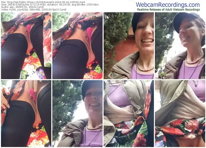 2024/09/19/stripchat-exhibitionsplit-10-05-42