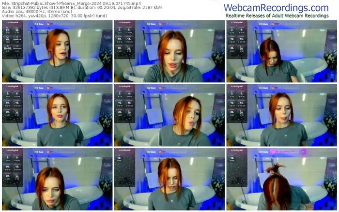2024/09/19/stripchat-phoenix_margo-07-17-45