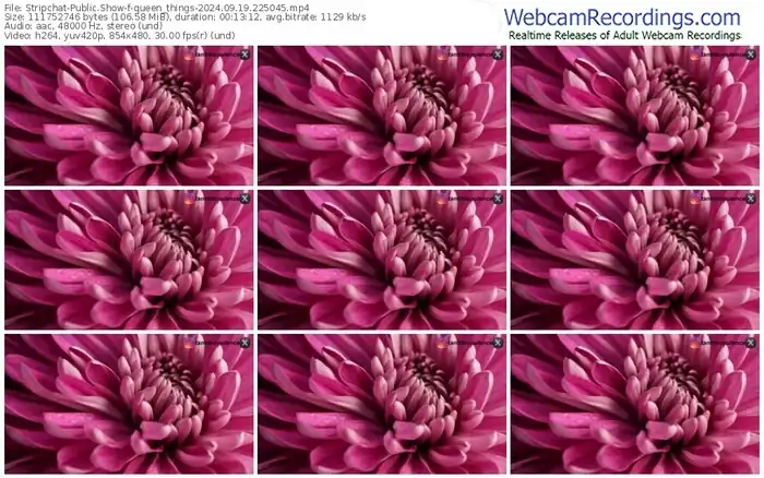 2024/09/19/stripchat-queen_things-22-50-45