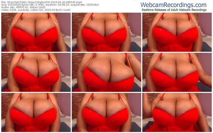 2024/09/20/stripchat-bigasstitt-08-55-45