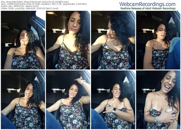 2024/09/20/stripchat-exoticart-16-08-55