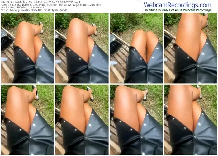 2024/09/20/stripchat-felinae-16-23-31