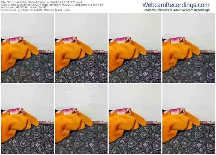 2024/09/20/stripchat-saaricool-04-14-21