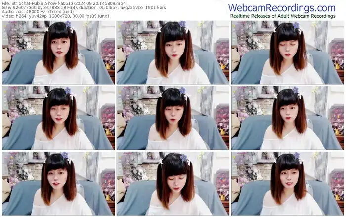 2024/09/20/stripchat-a0513-14-58-09