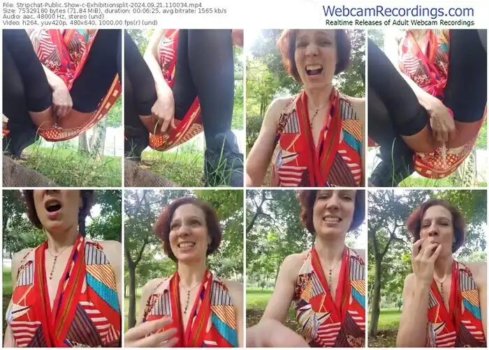 2024/09/21/stripchat-exhibitionsplit-11-00-34