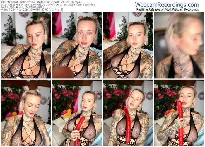 2024/09/21/stripchat-stella-kink-10-23-32