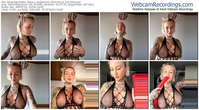 2024/09/21/stripchat-stella-kink-13-12-09
