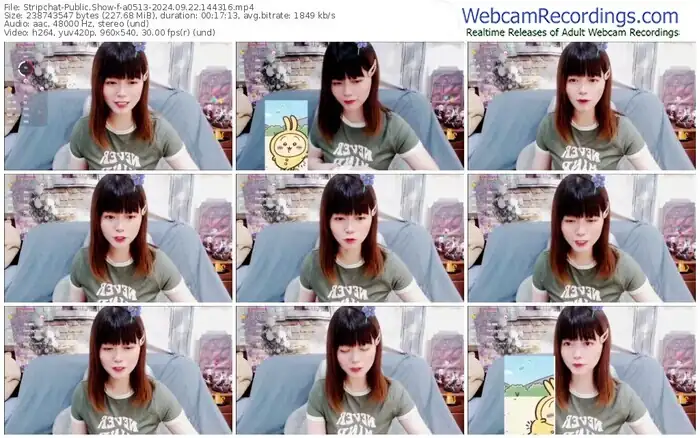 2024/09/22/stripchat-a0513-14-43-16