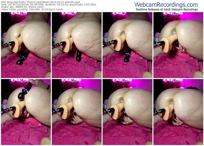 2024/09/23/stripchat-laserkitten-04-41-45