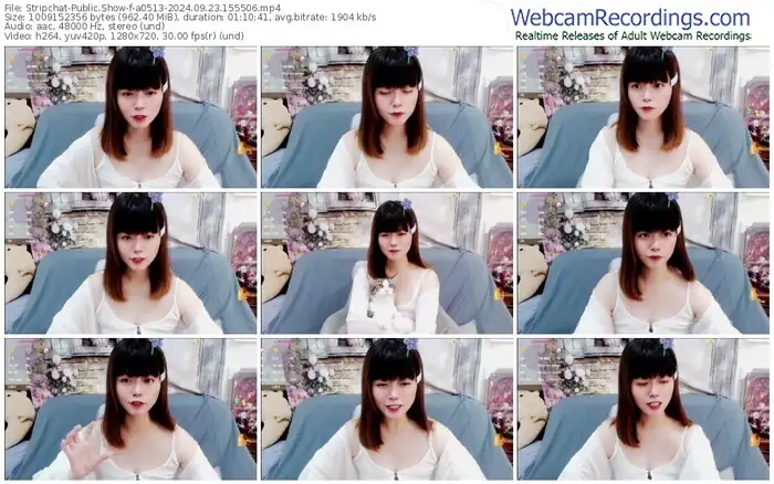 2024/09/23/stripchat-a0513-15-55-06