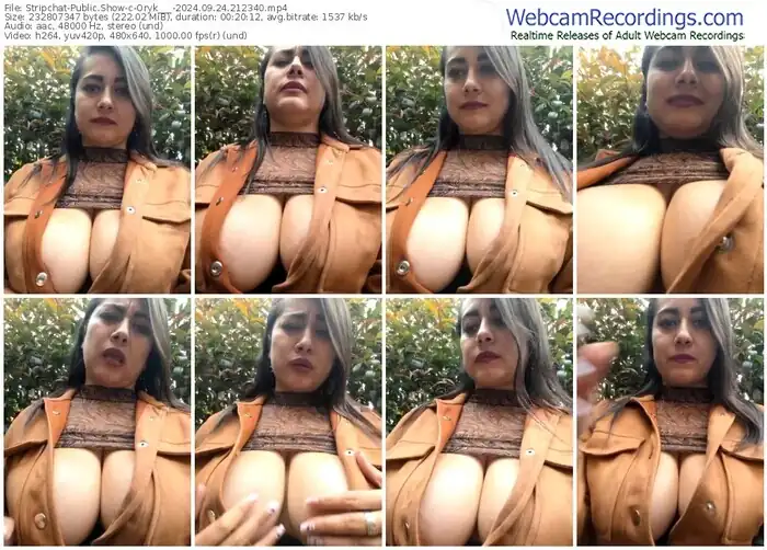 2024/09/24/stripchat-oryk___-21-23-40