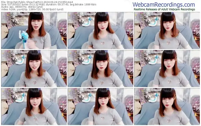 2024/09/24/stripchat-a0513-15-33-50