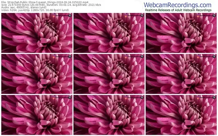 2024/09/24/stripchat-queen_things-01-50-22