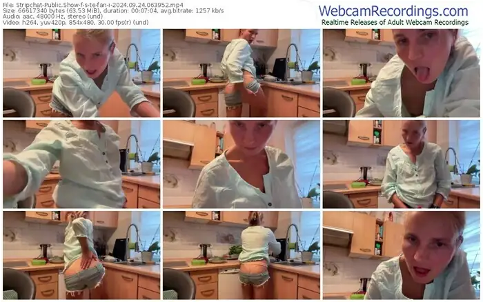 2024/09/24/stripchat-s-te-fan-i-06-39-52