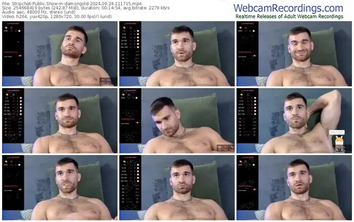 2024/09/24/stripchat-damongold-11-17-15