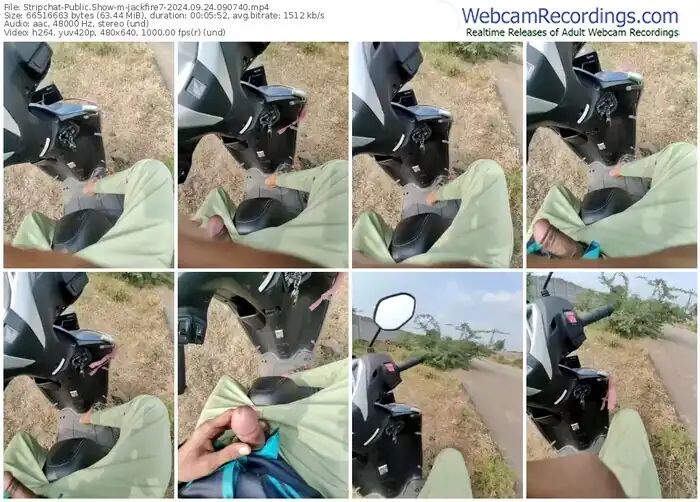 2024/09/24/stripchat-jackfire7-09-07-40